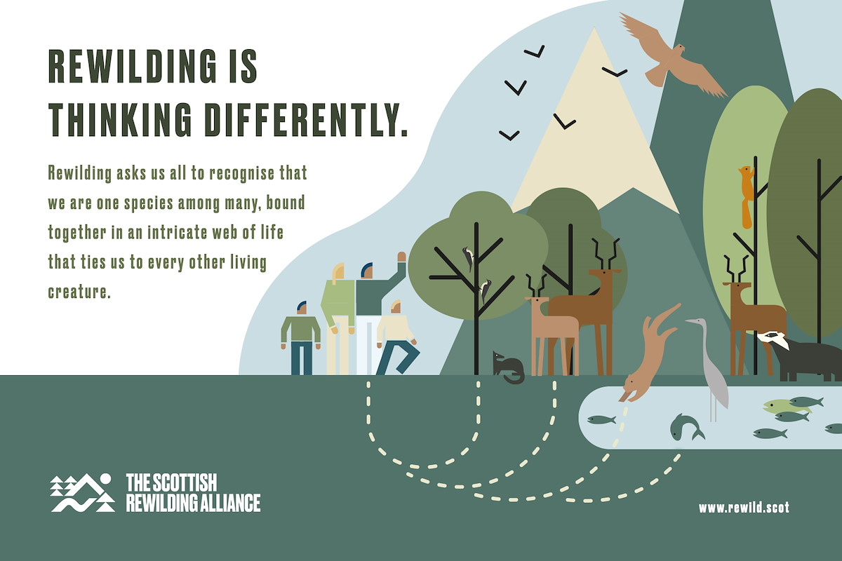 Scottish Rewilding Alliance Posters | SCOTLAND: The Big Picture