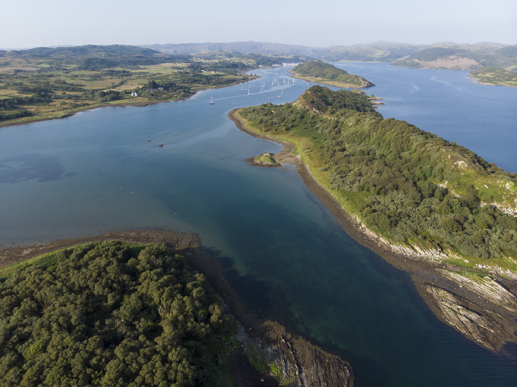 Seawilding - Rewilding Retreat - Rewilding Learning Day