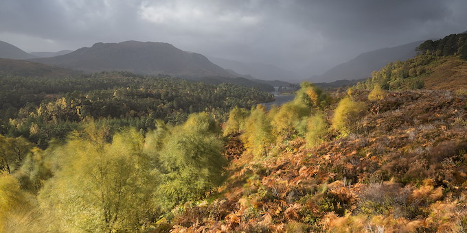 Rewilding Journeys | SCOTLAND: The Big Picture