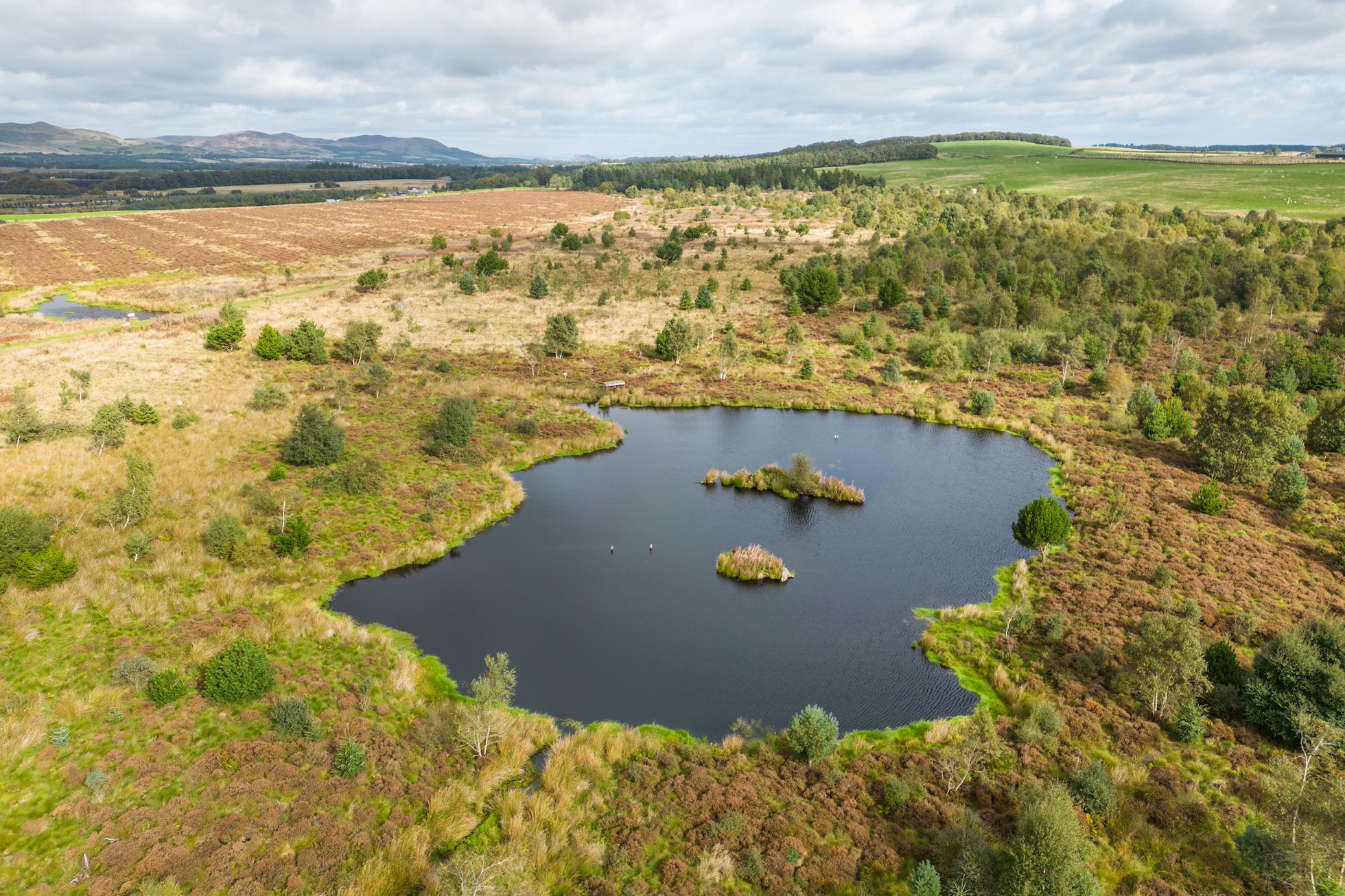 Leadburn Community Woodland