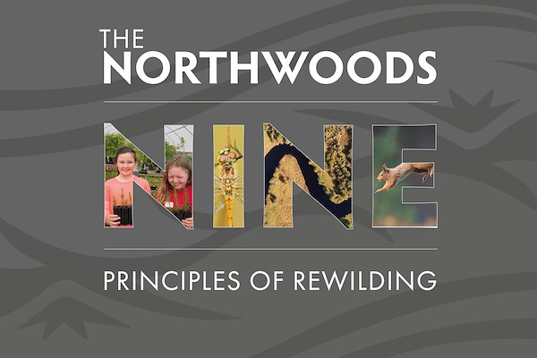 Northwoods Nine