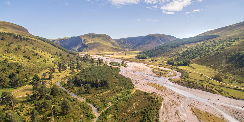 REWILDING JOURNEYS Experience rewilding in the Scottish Highlands&nbsp;