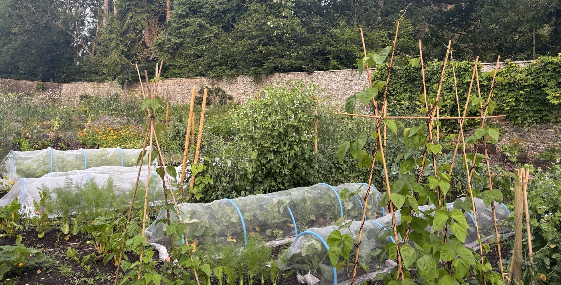 The Sustainable Food Garden - Rewilding Retreat - Rewilding Learning Day