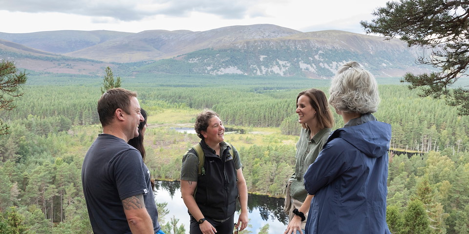 REWILDING JOURNEYS Experience rewilding in the Scottish Highlands&nbsp;