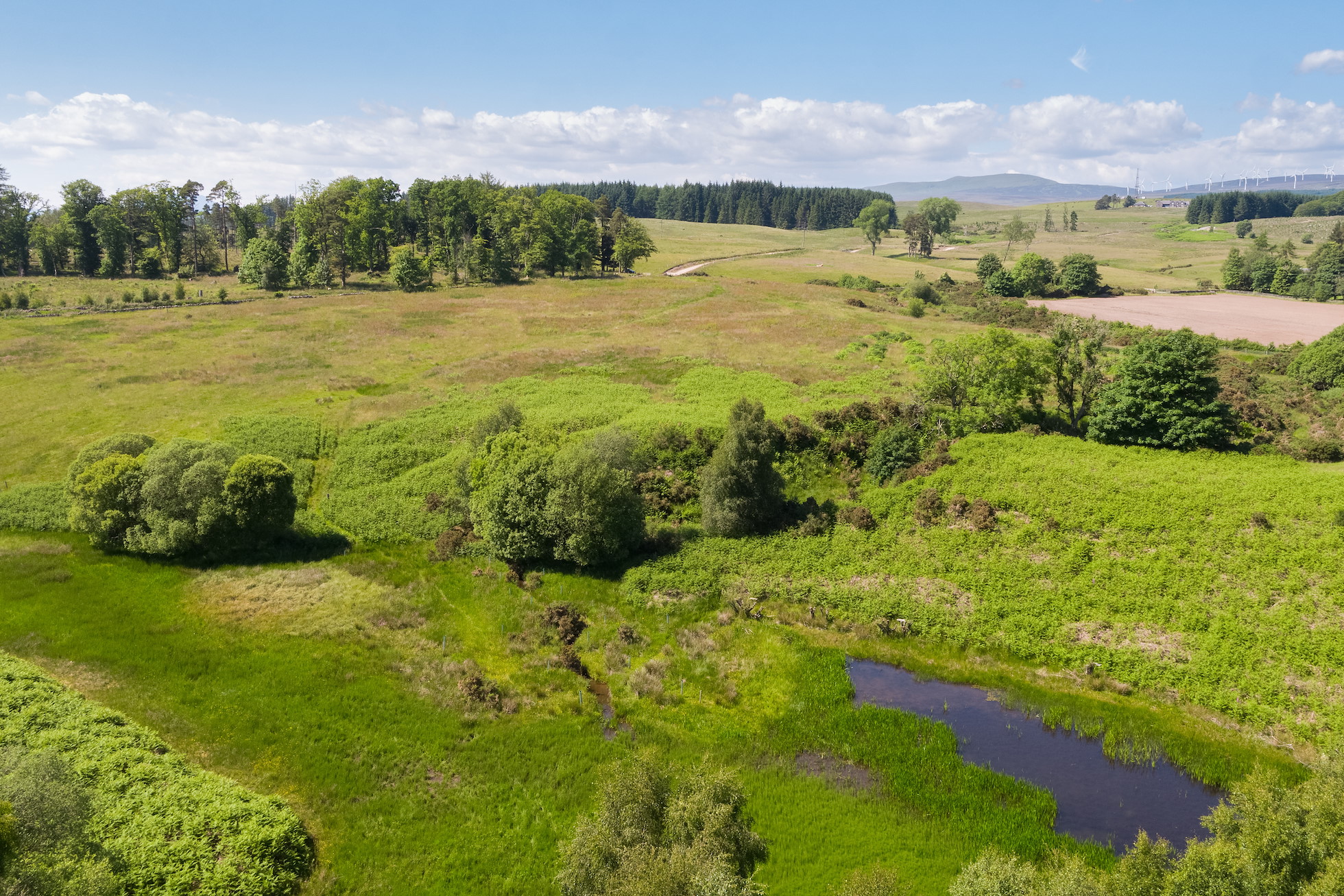 Wildlife Highways - Rewilding Retreat - Rewilding Learning Day